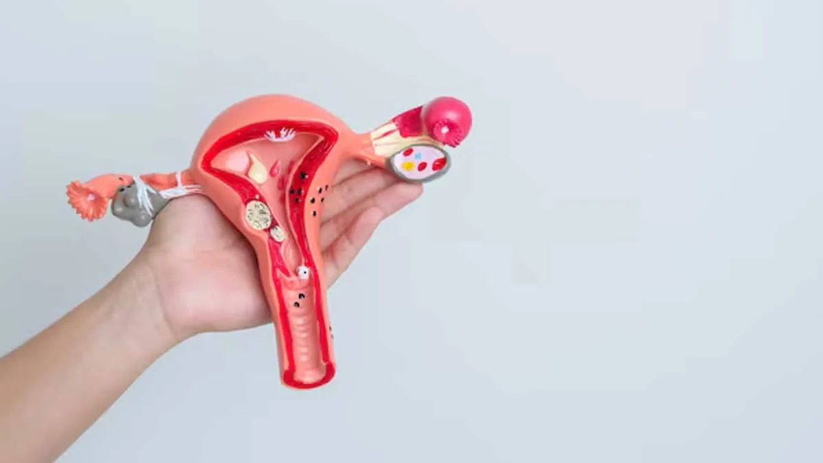 How To Avoid Ectopic Pregnancy With IVF? Expert Shares