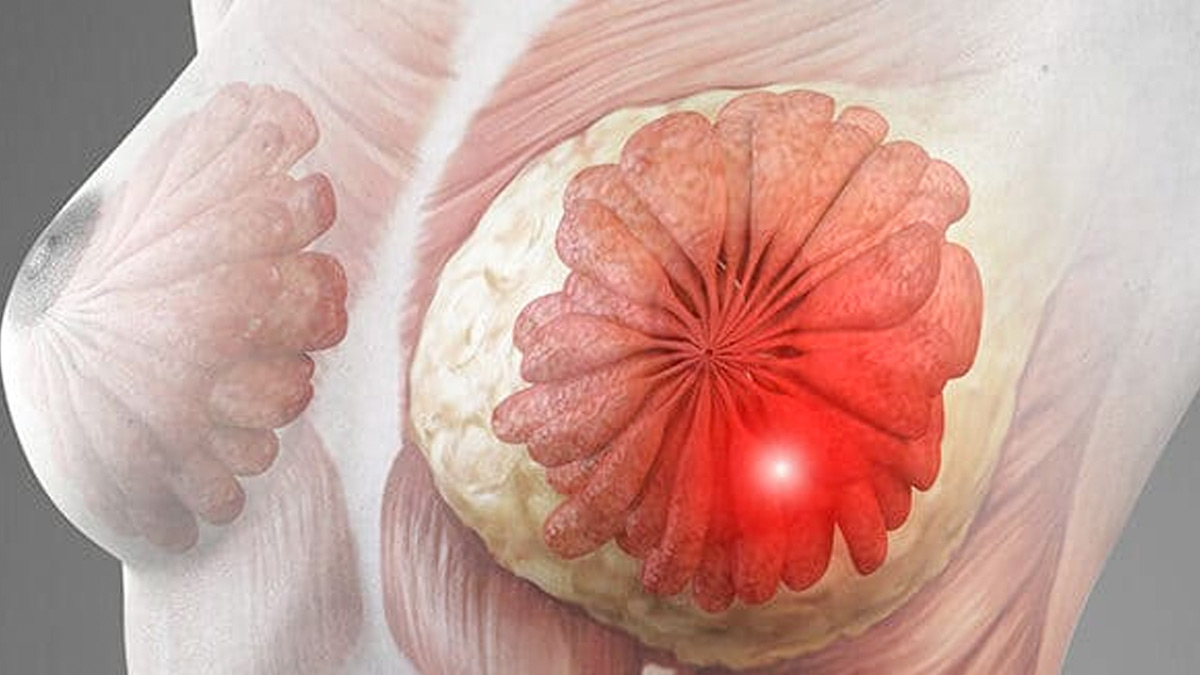 3 - 2025-08-28T154151.074