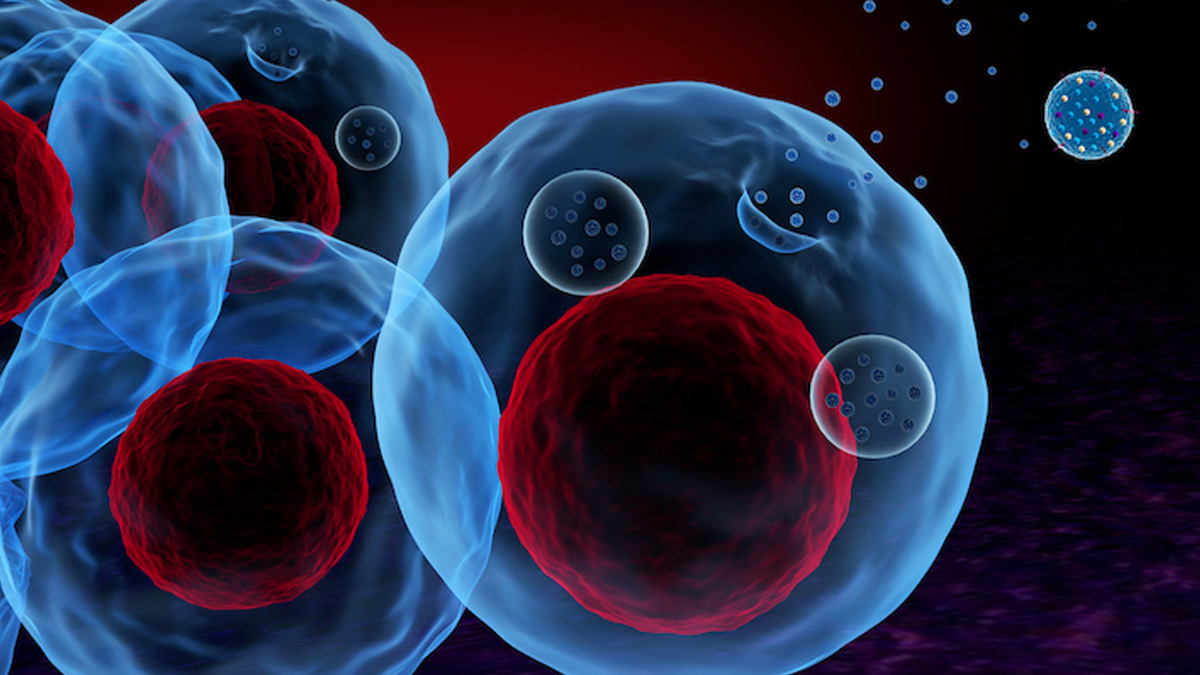 4 - 2025-08-28T154153.247