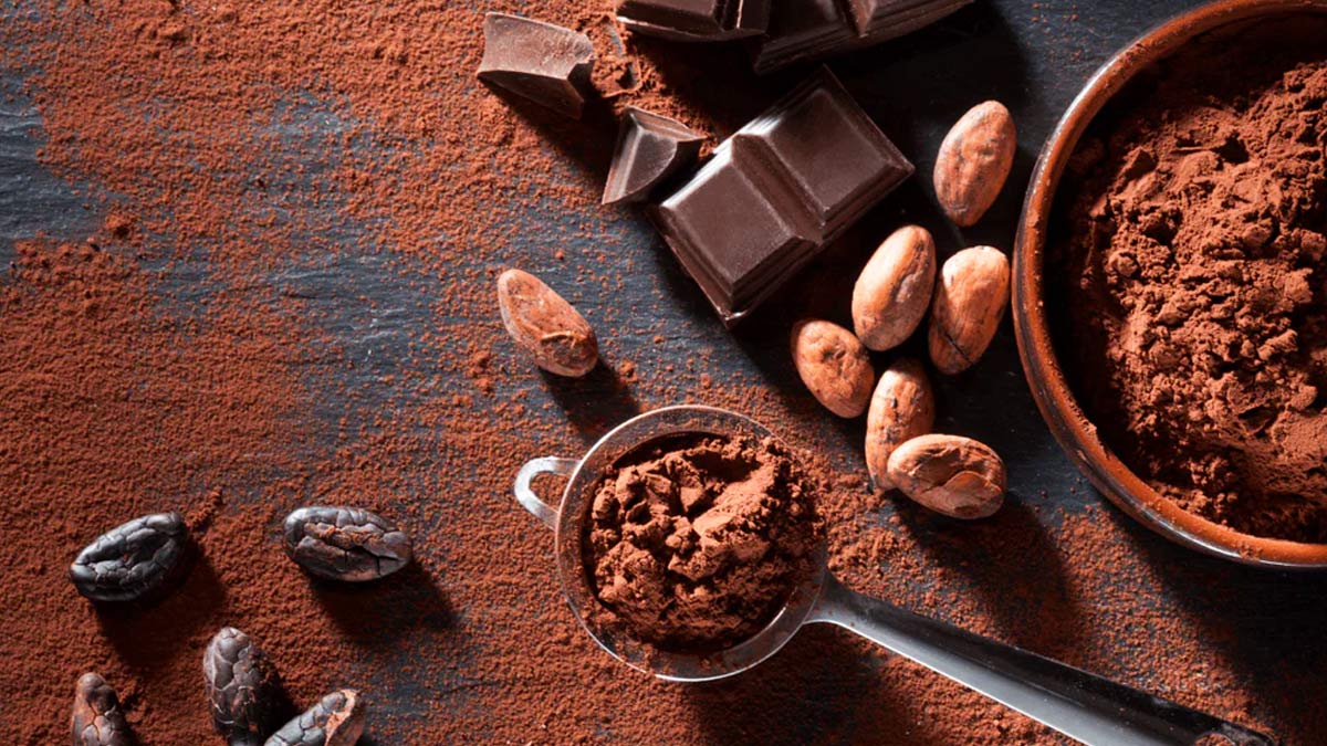 dark chocolate for gut 4 - 2025-08-28T154649.256