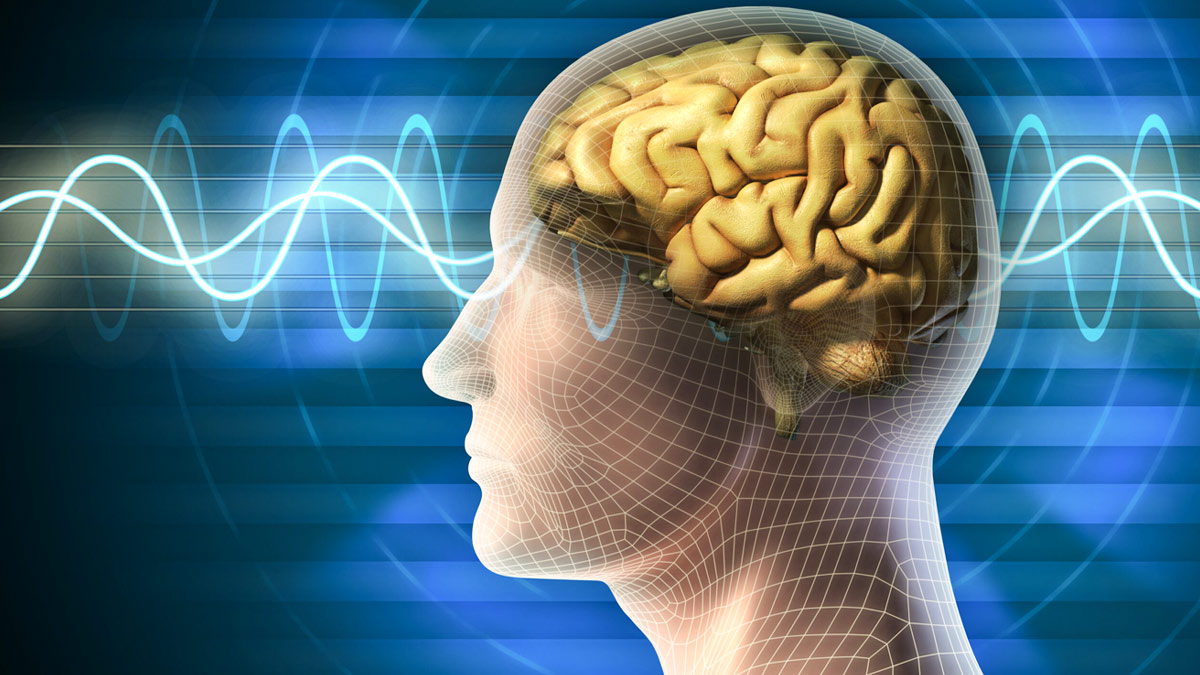 1 - 2025-08-29T132031.914