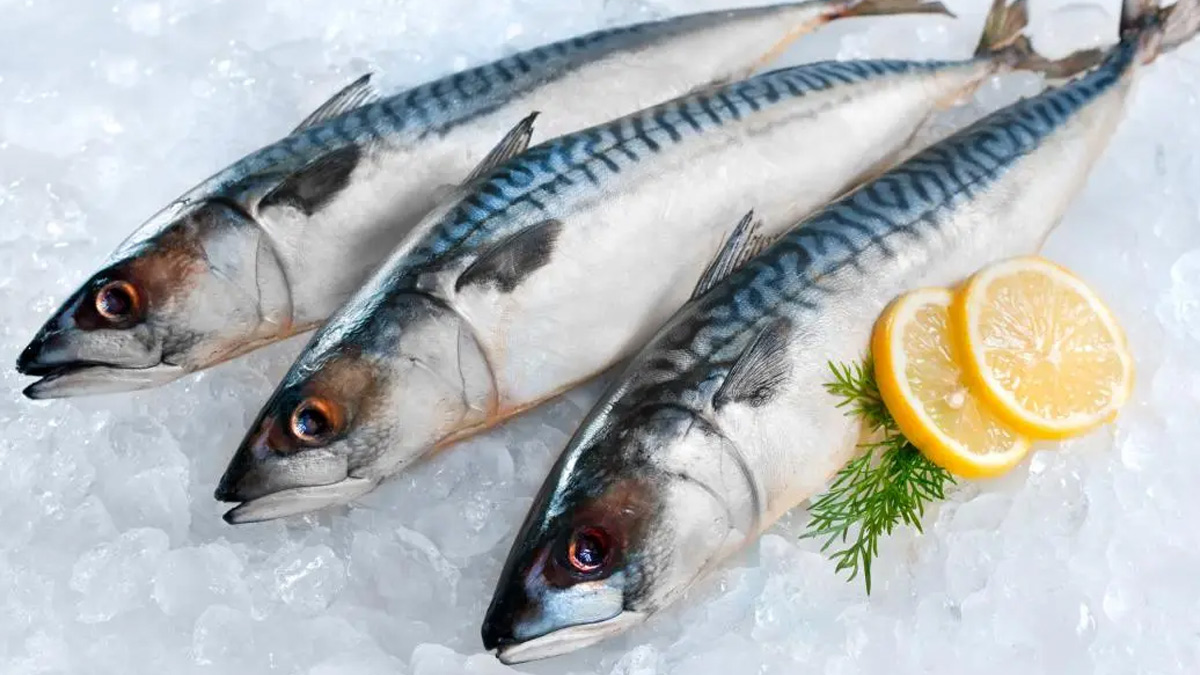 dam raised fish benefits 2 - 2025-08-29T153336.957