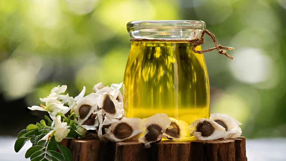 Moringa Magic: Here's How Its Oil Can Promote Hair Health