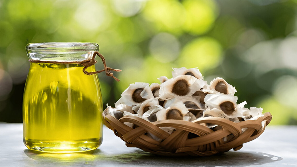 moringa-oil