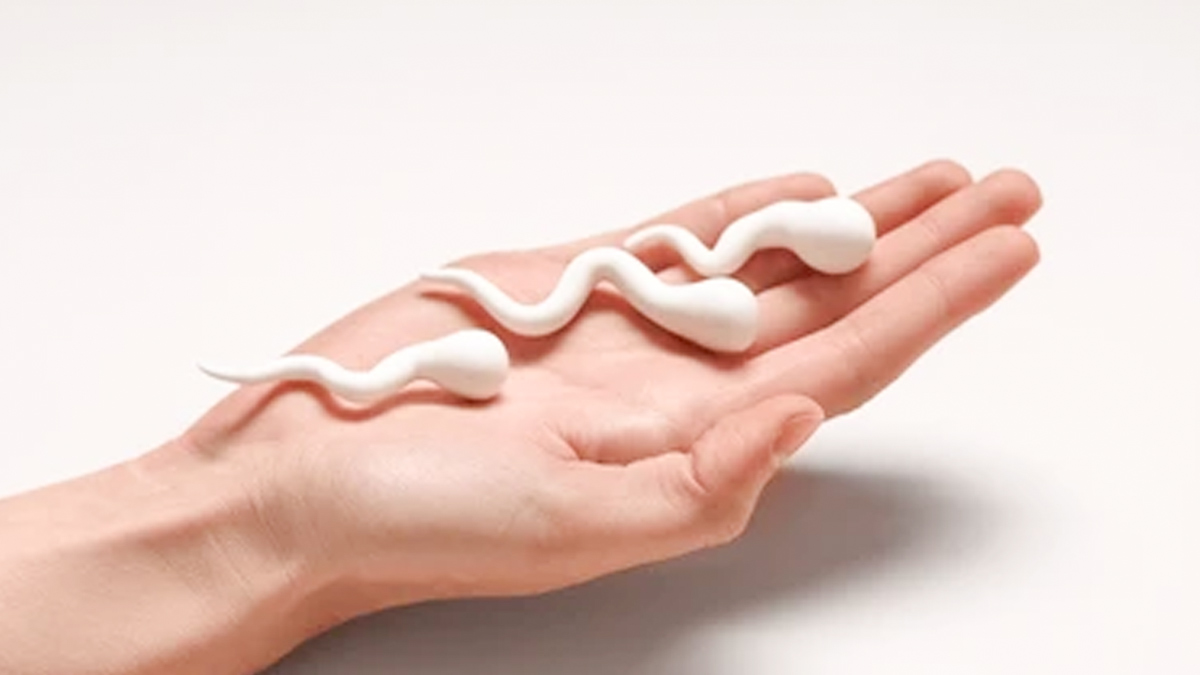 masturbation myths 2 - 2025-09-02T160017.428