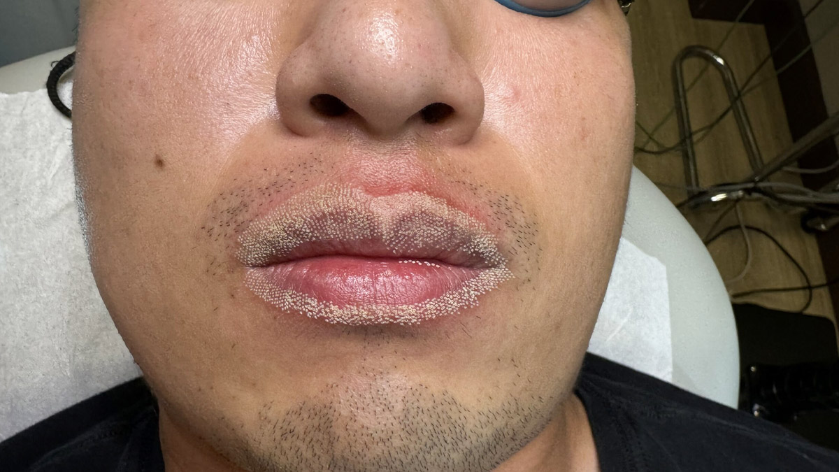 2 - 2025-09-03T103117.793