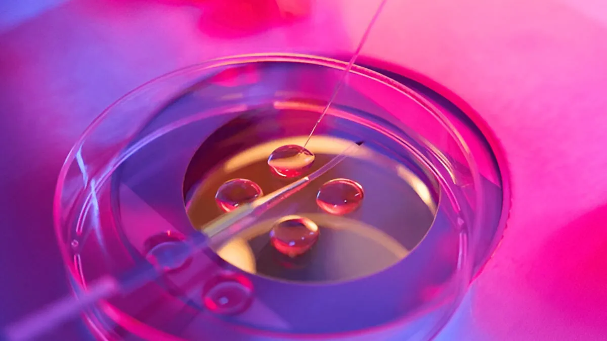 6 Things Every Woman Should Consider Before Egg Freezing
