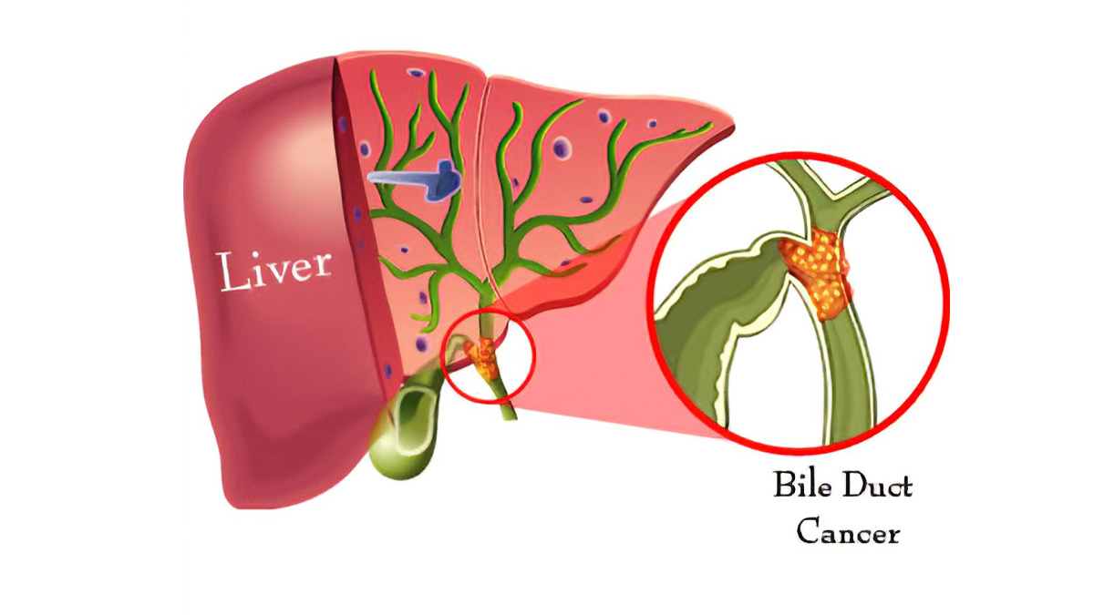 2 - 2025-09-05T123631.897