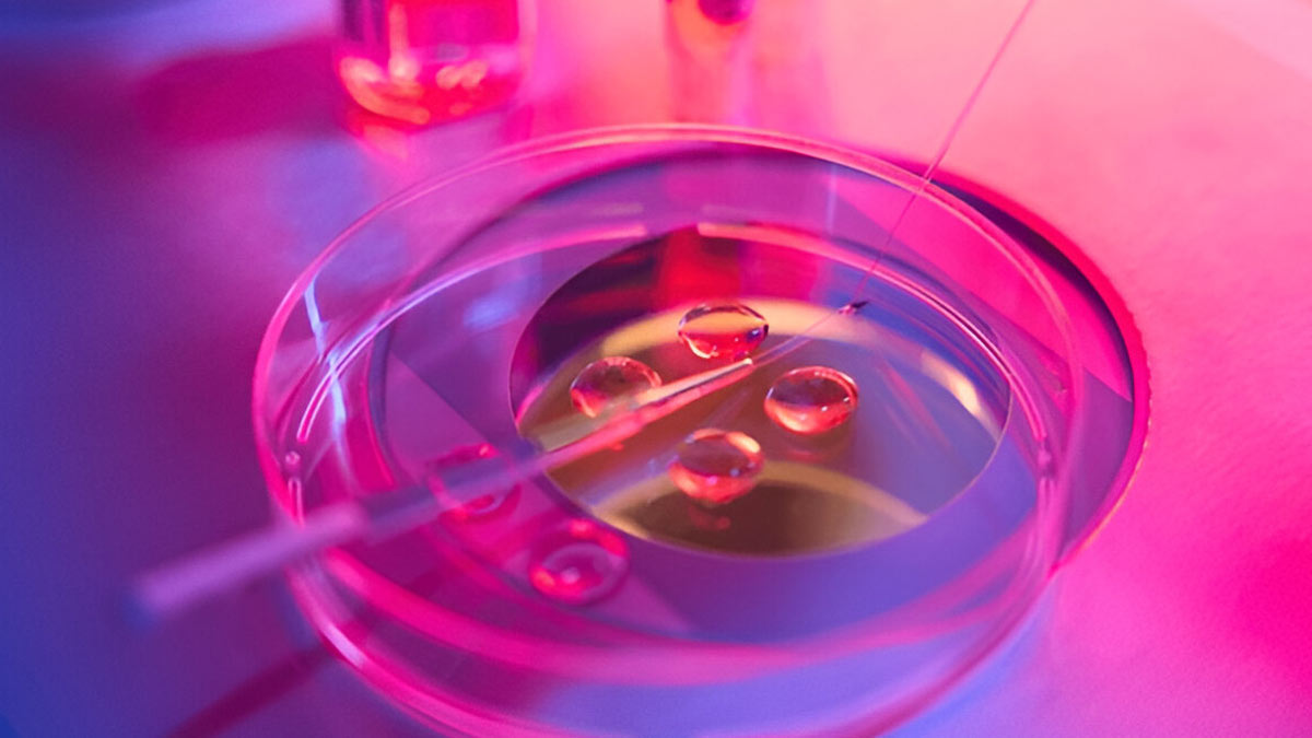 Egg Freezing For Medical Reasons: Why More Women With Cancer Or PCOS Are Choosing To Preserve Fertility