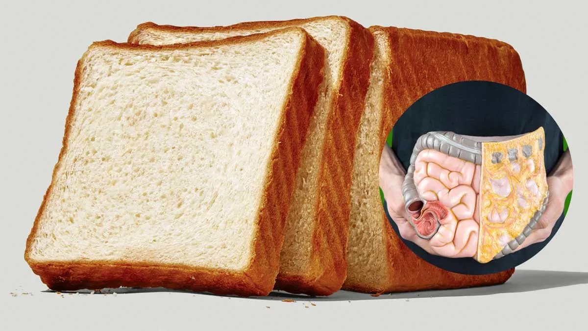 Is Bread Really Hard to Digest? Nutritionist Breaks It Down