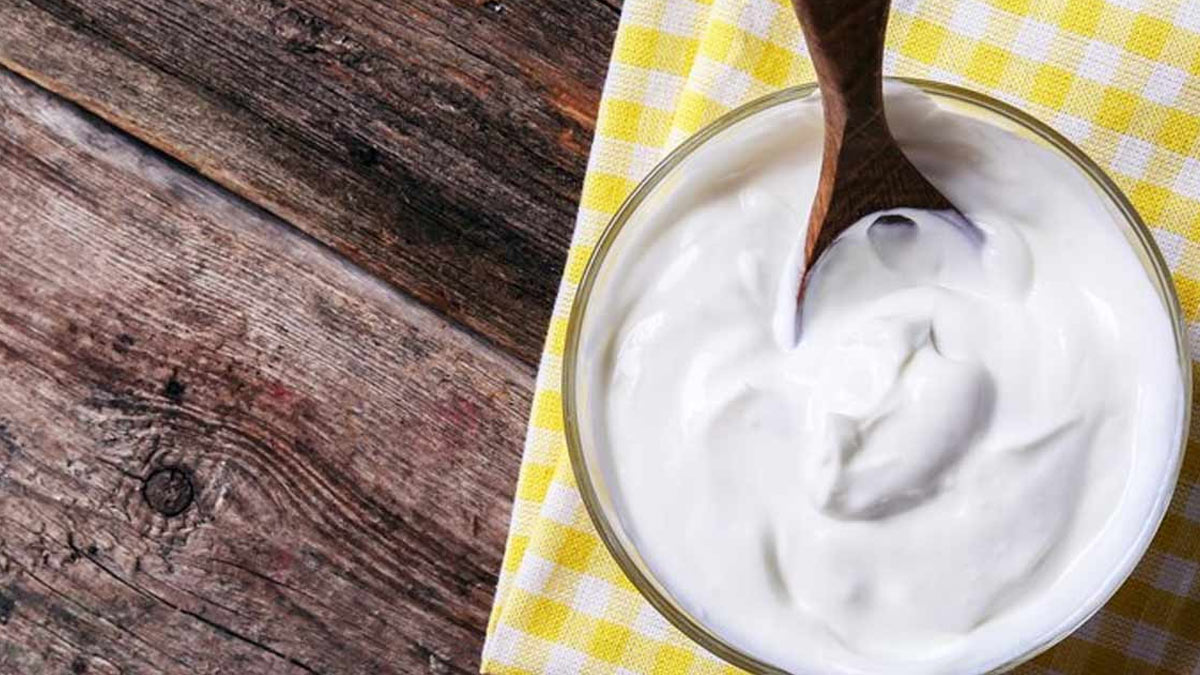 yoghurt for weight loss 3 - 2025-09-09T160316.470