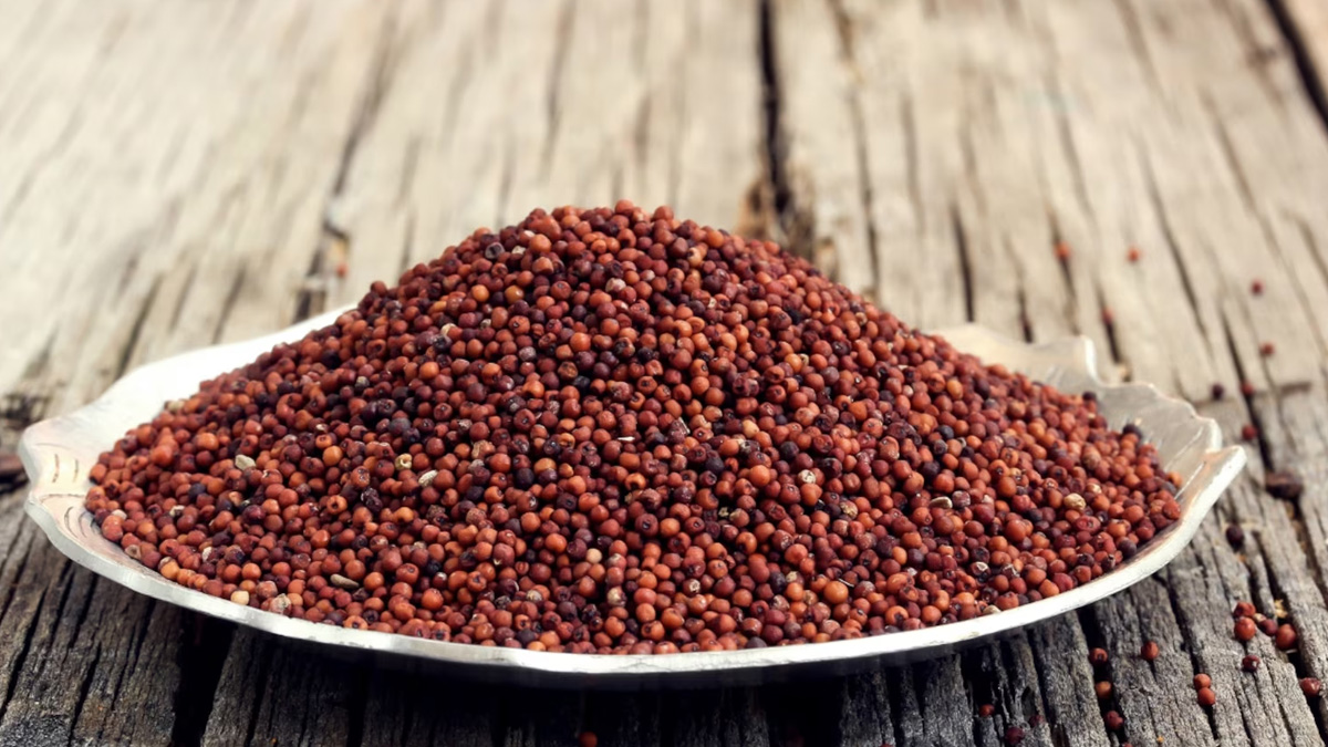 3 - 2025-09-12T101006.330