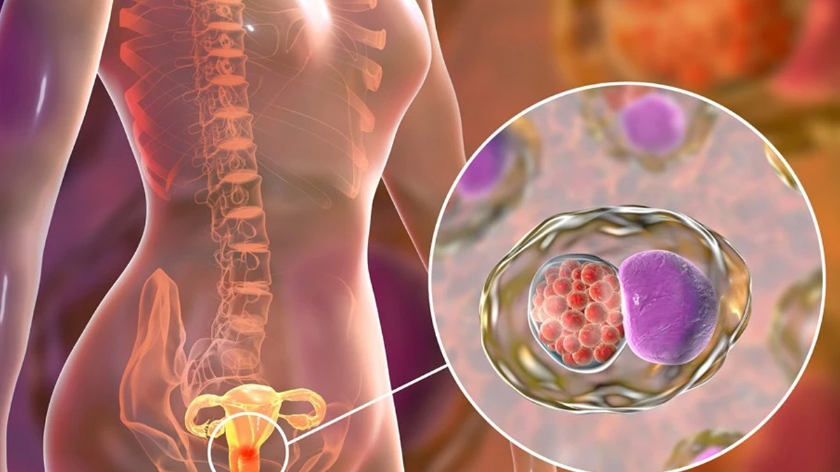 1 - 2025-09-16T155448.438