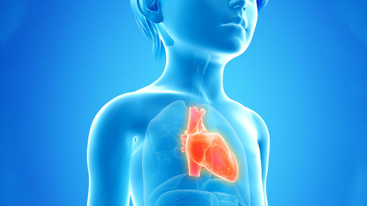 heart attack at young age 2 - 2025-09-16T113740.372