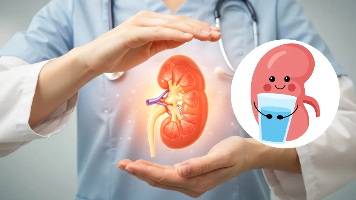 Are Your Daily Habits Slowly Damaging Your Kidneys? What to Change Now