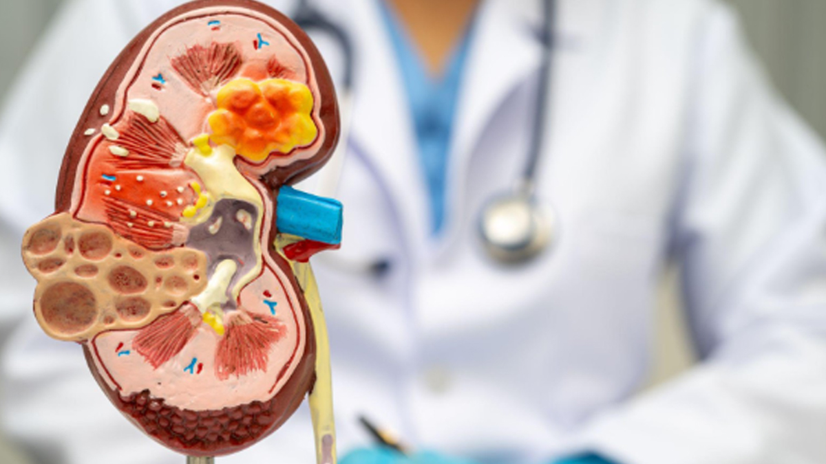 1 - 2025-09-18T155959.674