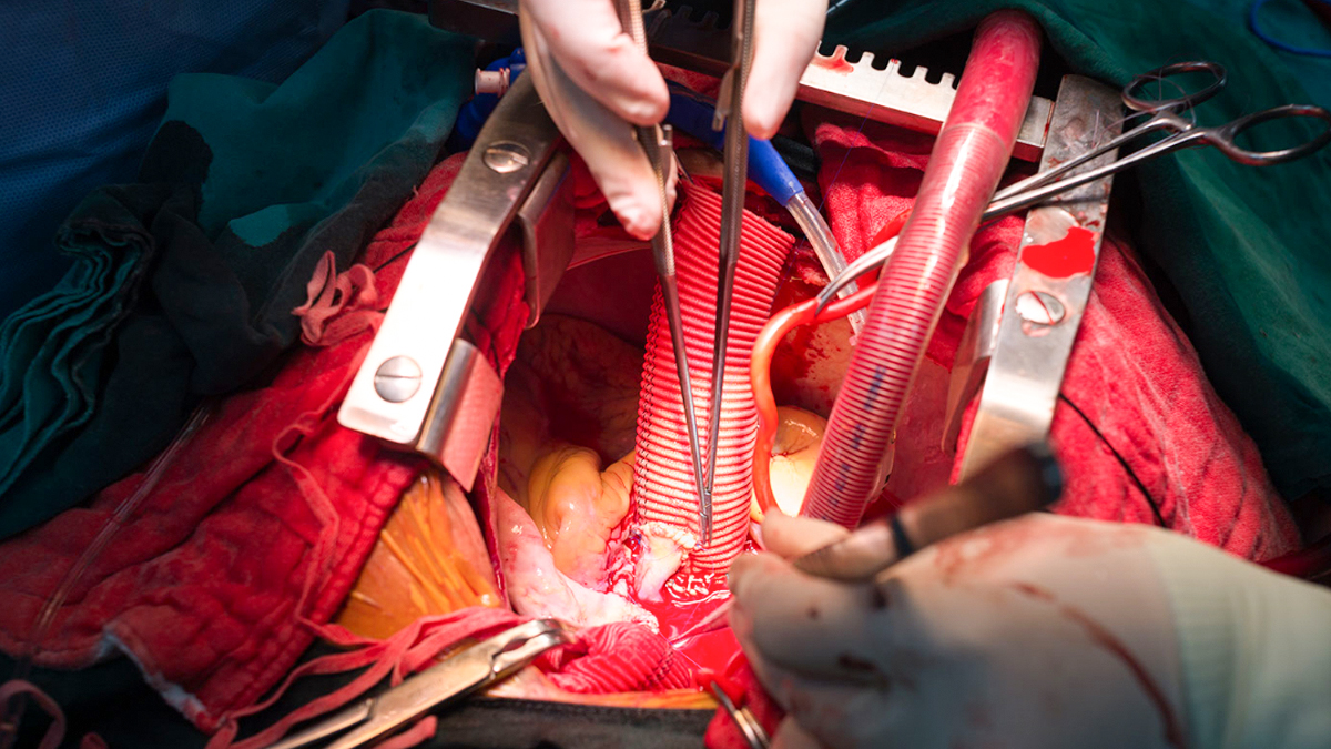 1 - 2025-09-18T183509.701