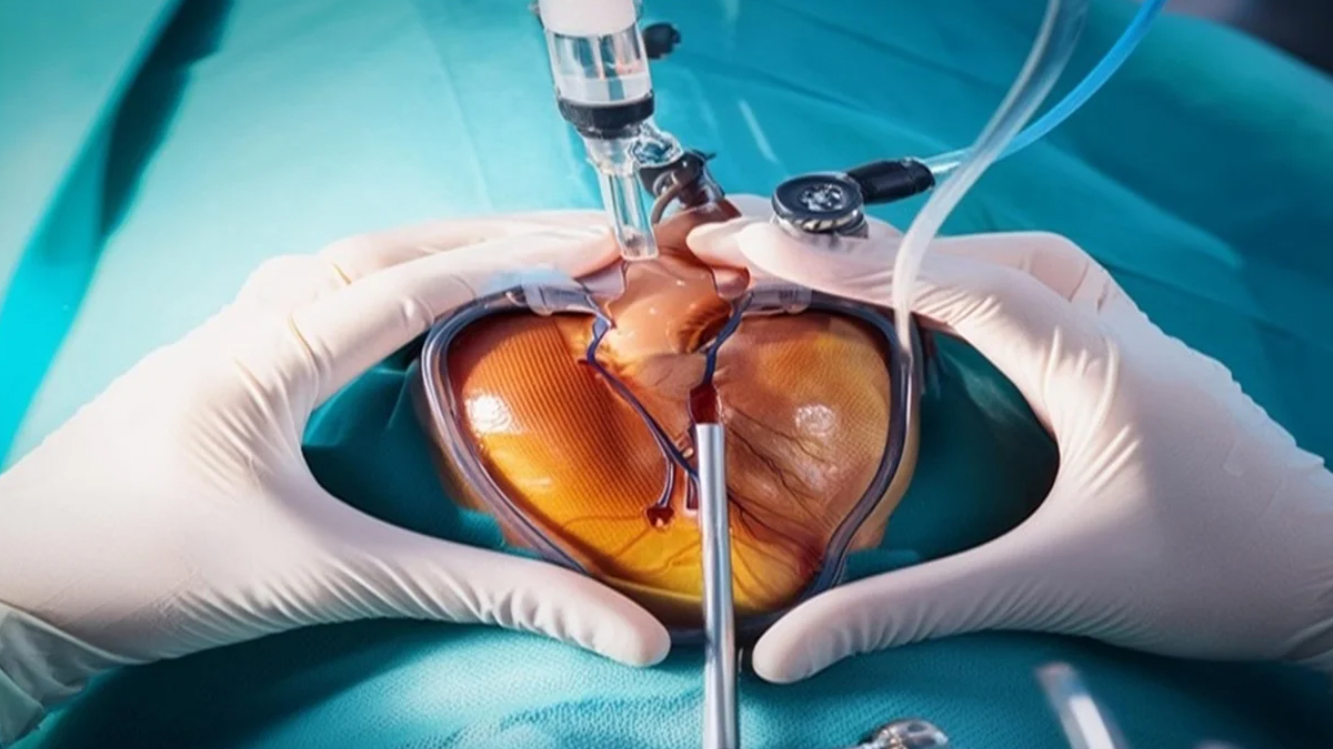 4 - 2025-09-18T183436.330