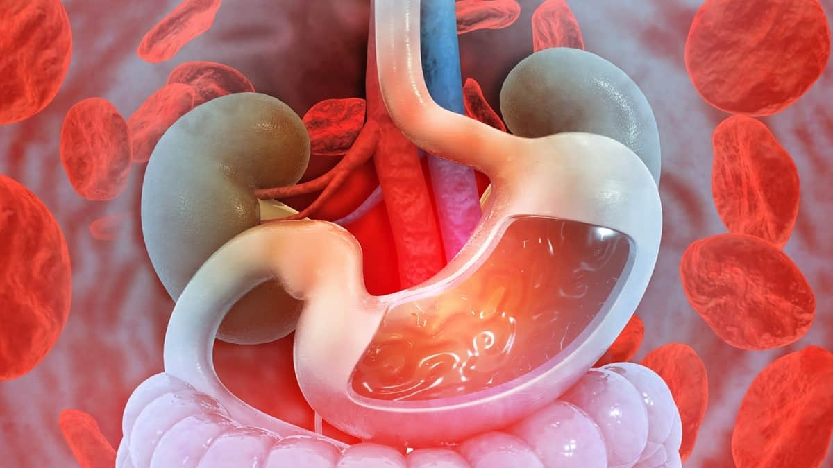 1 - 2025-09-19T105141.964