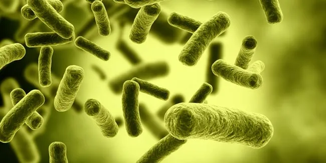 CDC Issues Urgent Warning on Nightmare Bacteria: Here's What You Should Know