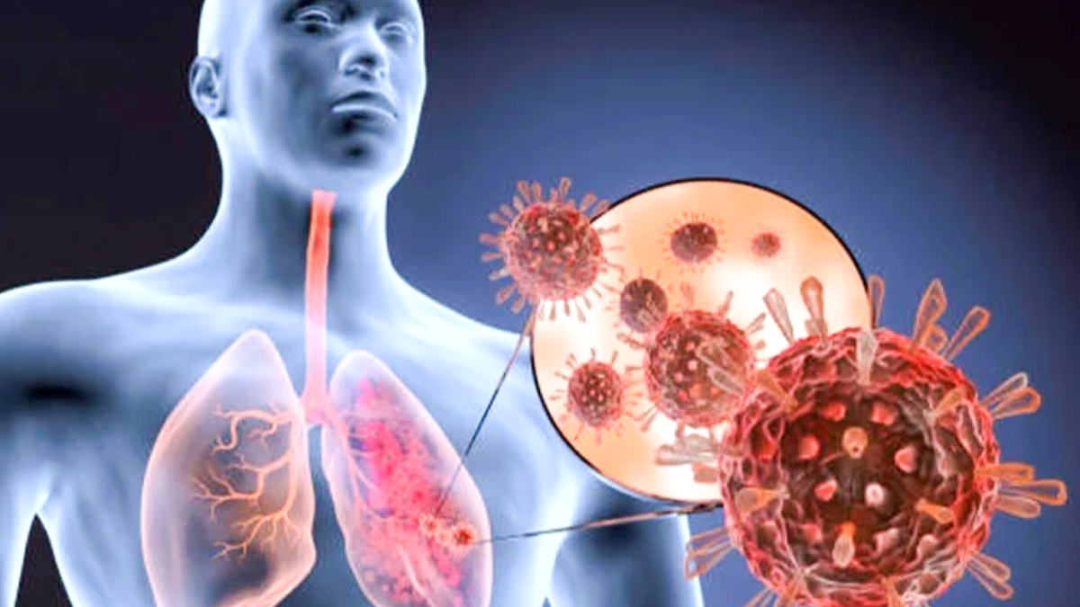 1 - 2025-09-24T171854.786