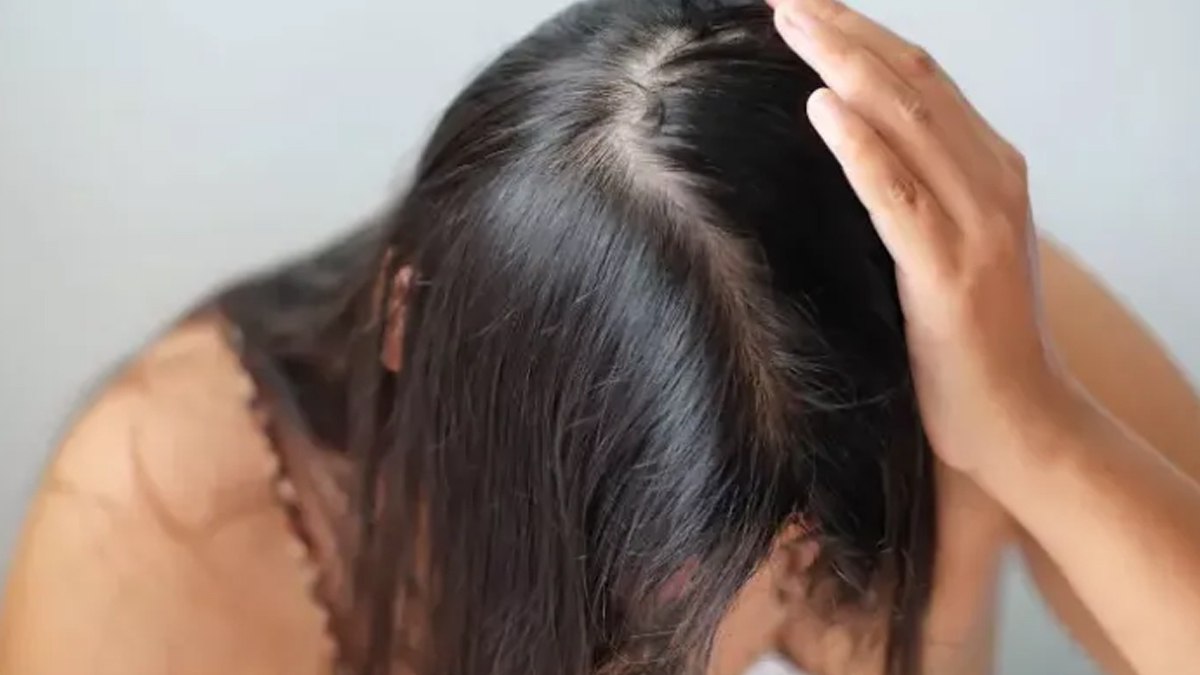 1 - 2025-09-25T162816.258