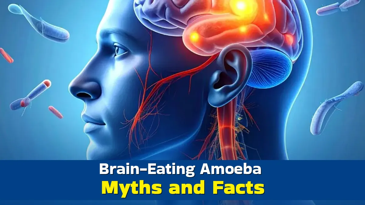 Myths vs. Facts: Expert Shares The Truth About Brain-Eating Amoeba and How to Protect Your Family
