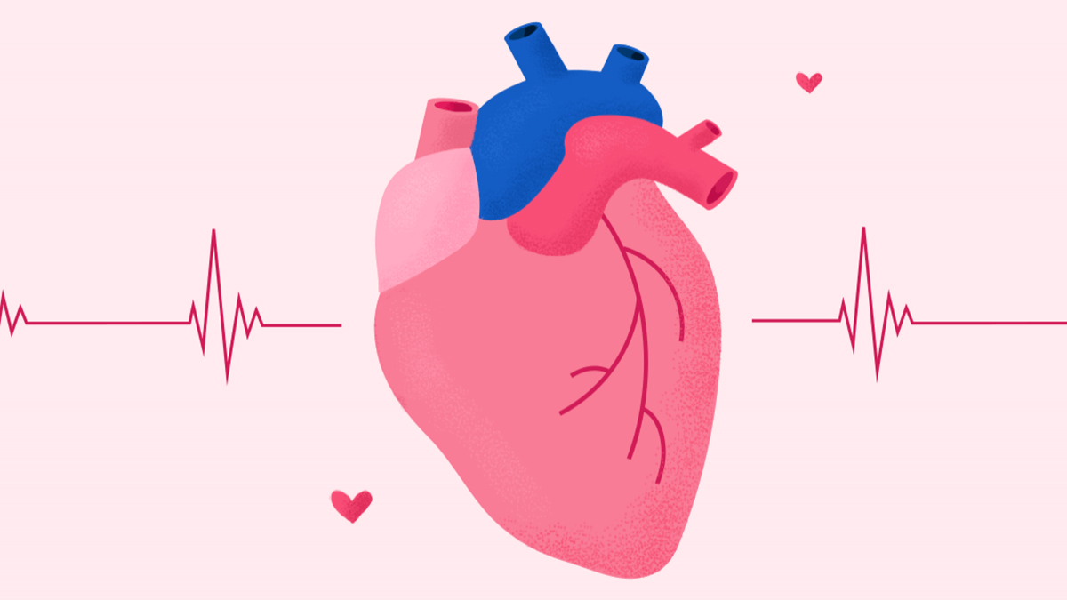 1 - 2025-09-29T111626.942