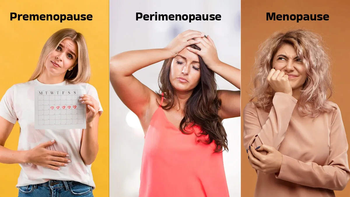 Premenopause Vs Perimenopause Vs Menopause: What Every Woman Must Know