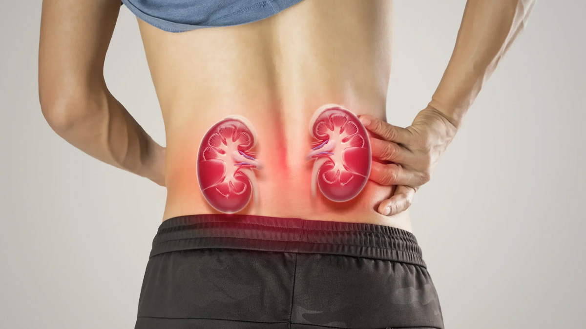 kidney health tips 2 - 2025-09-30T152210.541