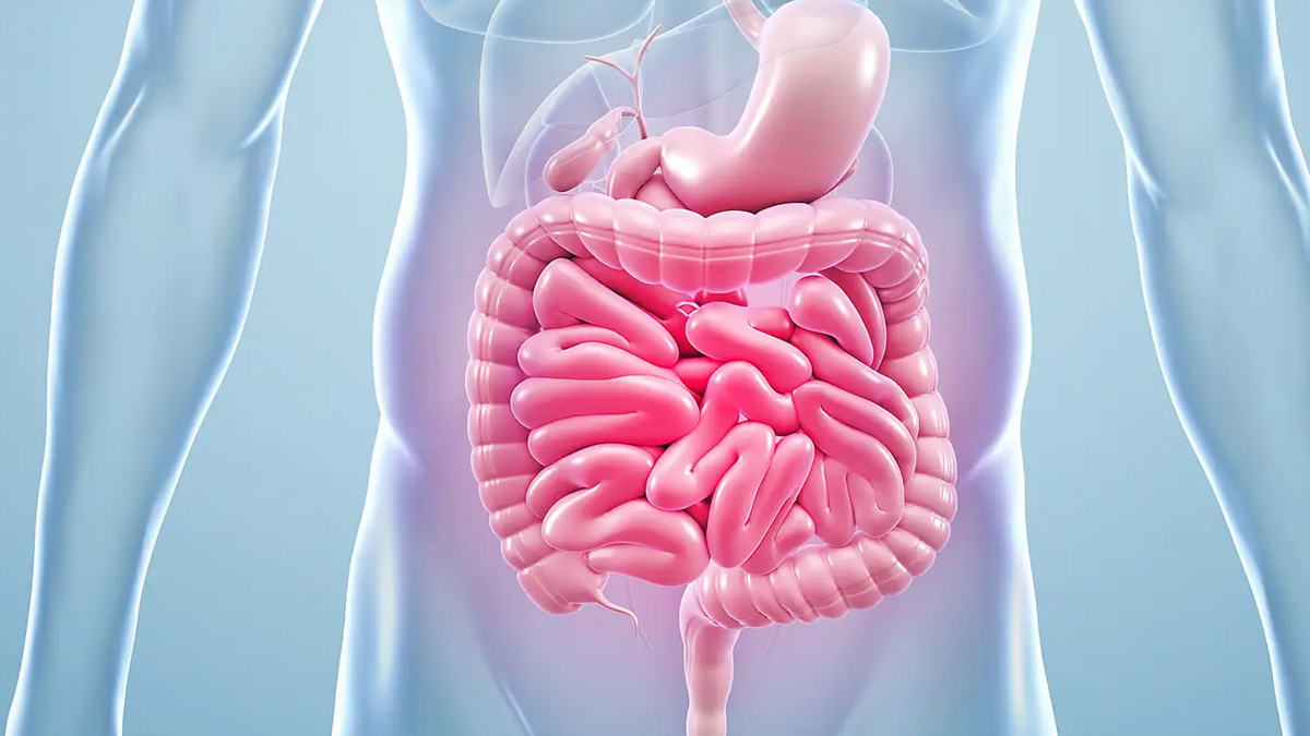 walk for gut health 3 - 2025-09-30T152718.156