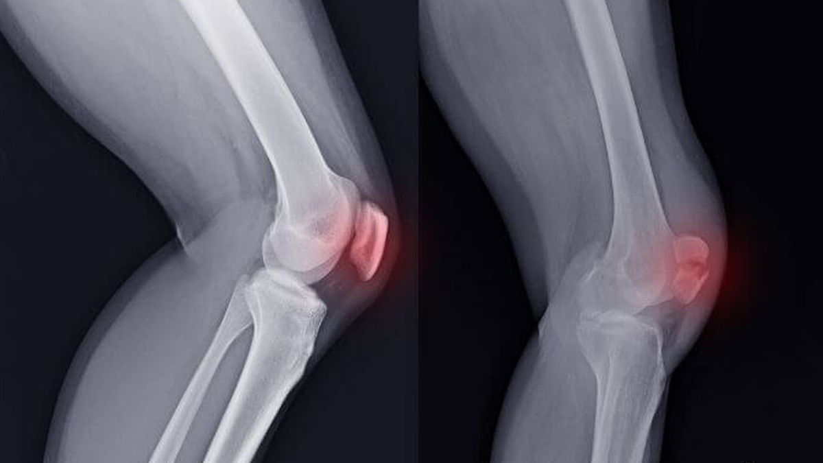 3 - 2025-09-30T215247.731