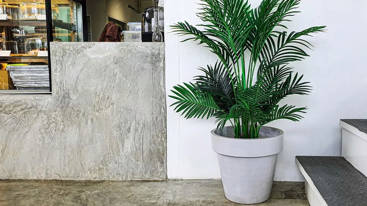 Expert Says THESE Plants Are the Ultimate Home Health Boosters