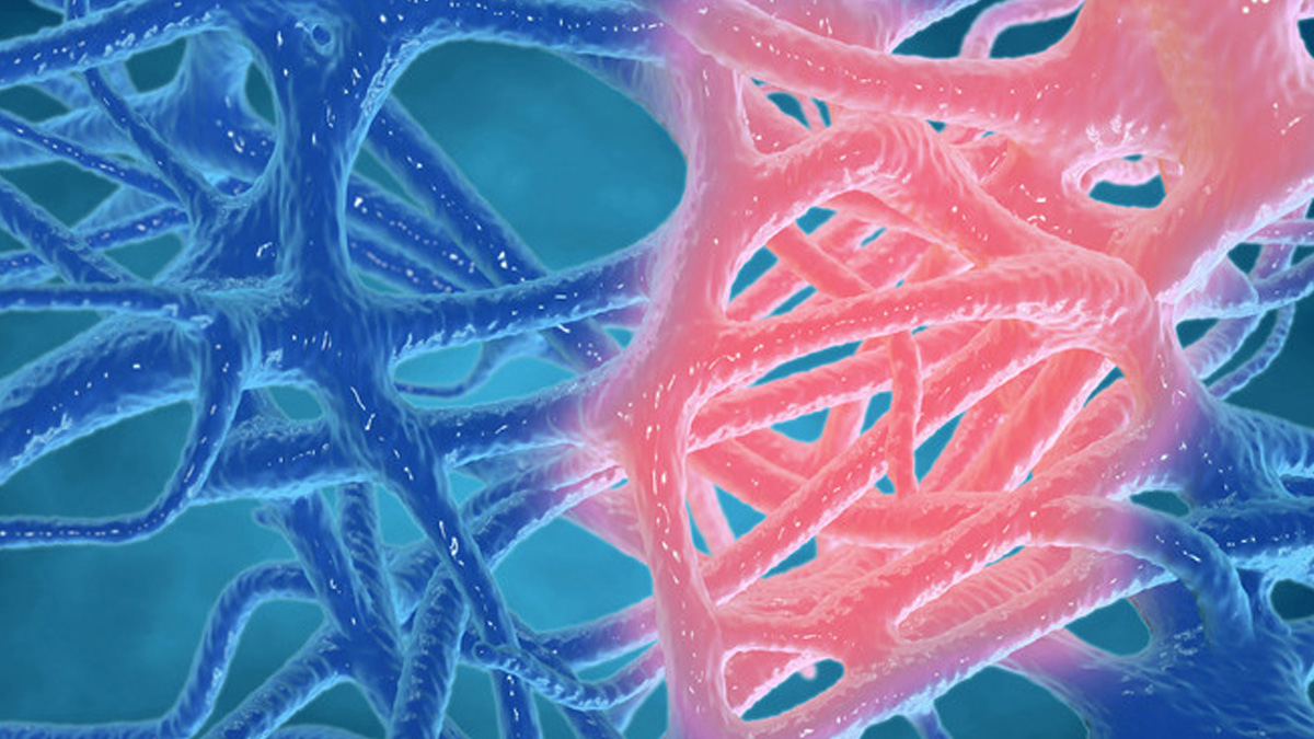 1 - 2025-10-06T162156.902