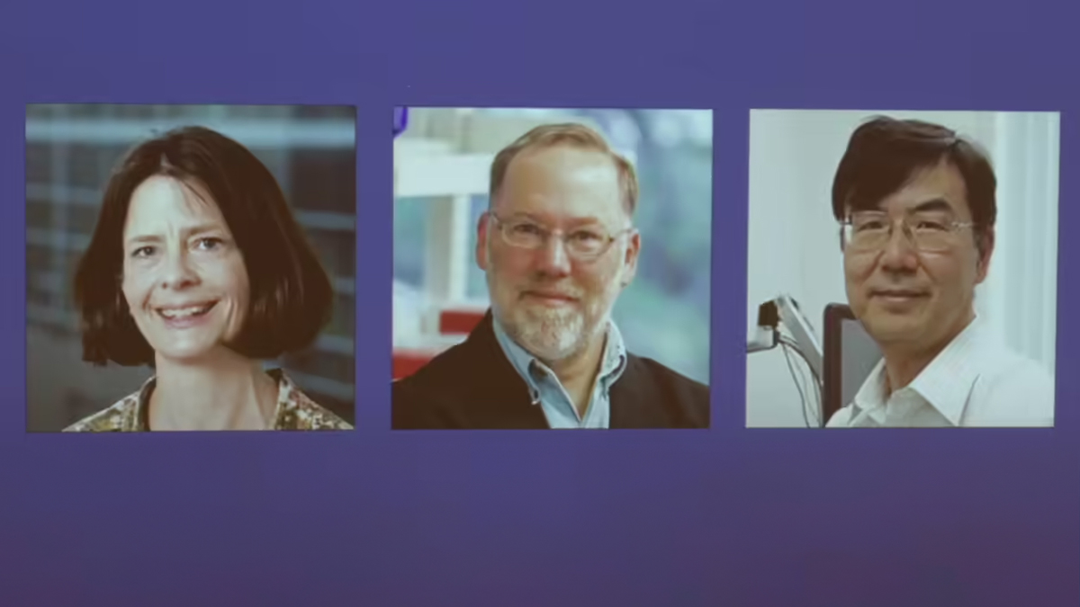 Nobel Prize in Medicine: Trio of Scientists Honoured for Groundbreaking Discovery on How the Immune System Protects Itself