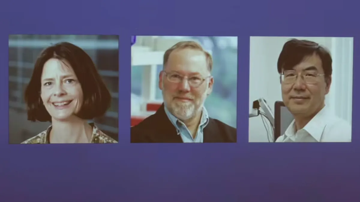 Nobel Prize in Medicine: Trio of Scientists Honoured for Groundbreaking Discovery on How the Immune System Protects Itself