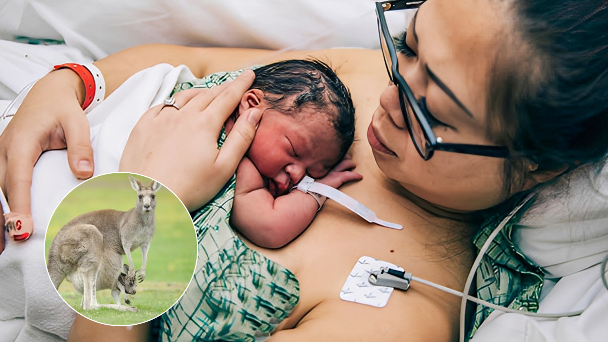 Skin-to-Skin Contact Like Kangaroos Shown to Boost Brain Development in Very Preterm Babies - Study