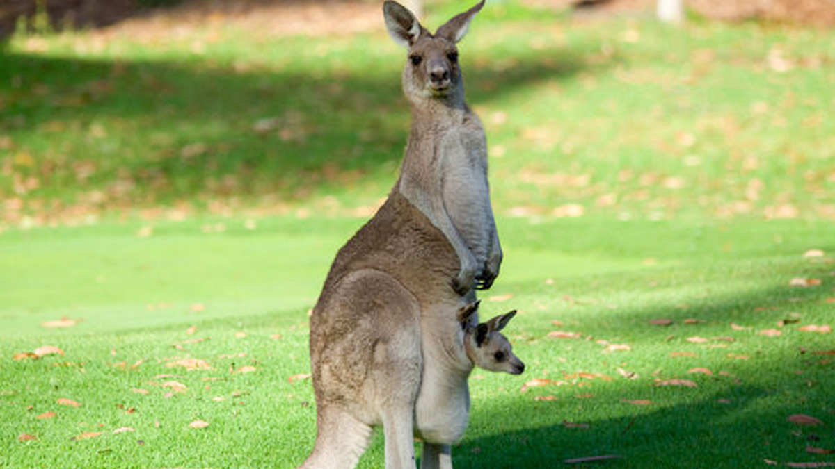 1 - 2025-10-07T152905.820