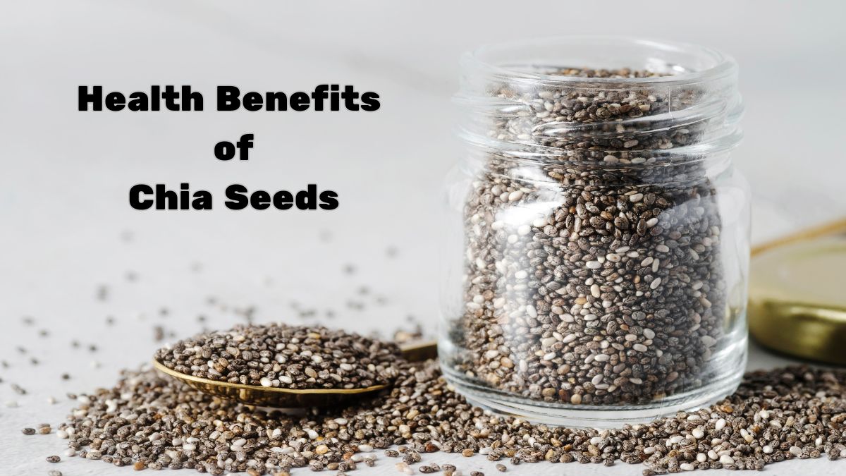 Chia Seed Benefits: A Tiny Seed with Big Health Perks