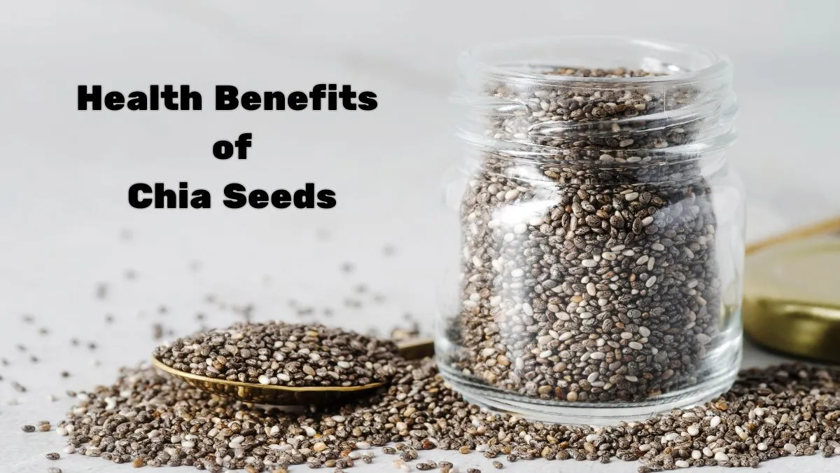 Chia Seed Benefits: A Tiny Seed with Big Health Perks