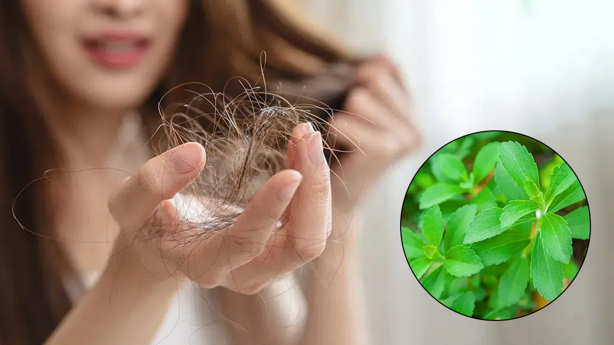 Sweet Fix for Balding? Study Finds Natural Sweetener May Support Hair Regrowth