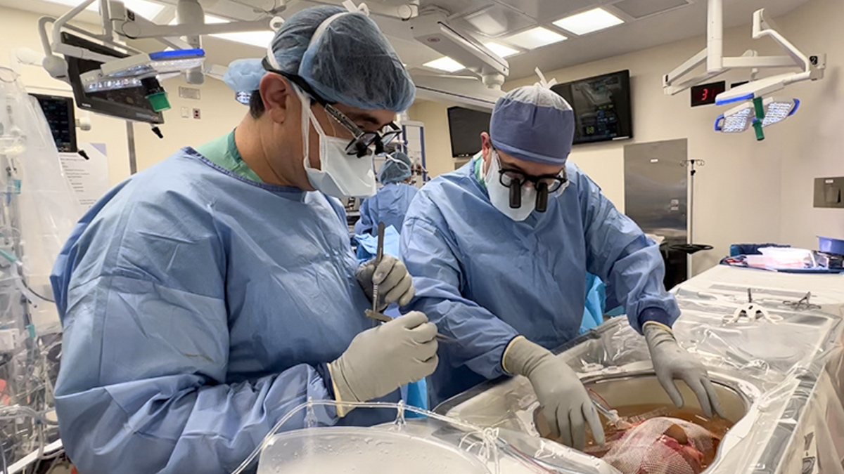 2 - 2025-10-10T105746.627