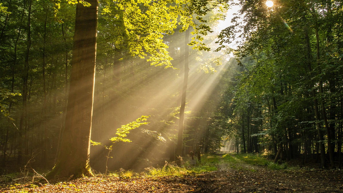 2 - 2025-10-13T123847.843