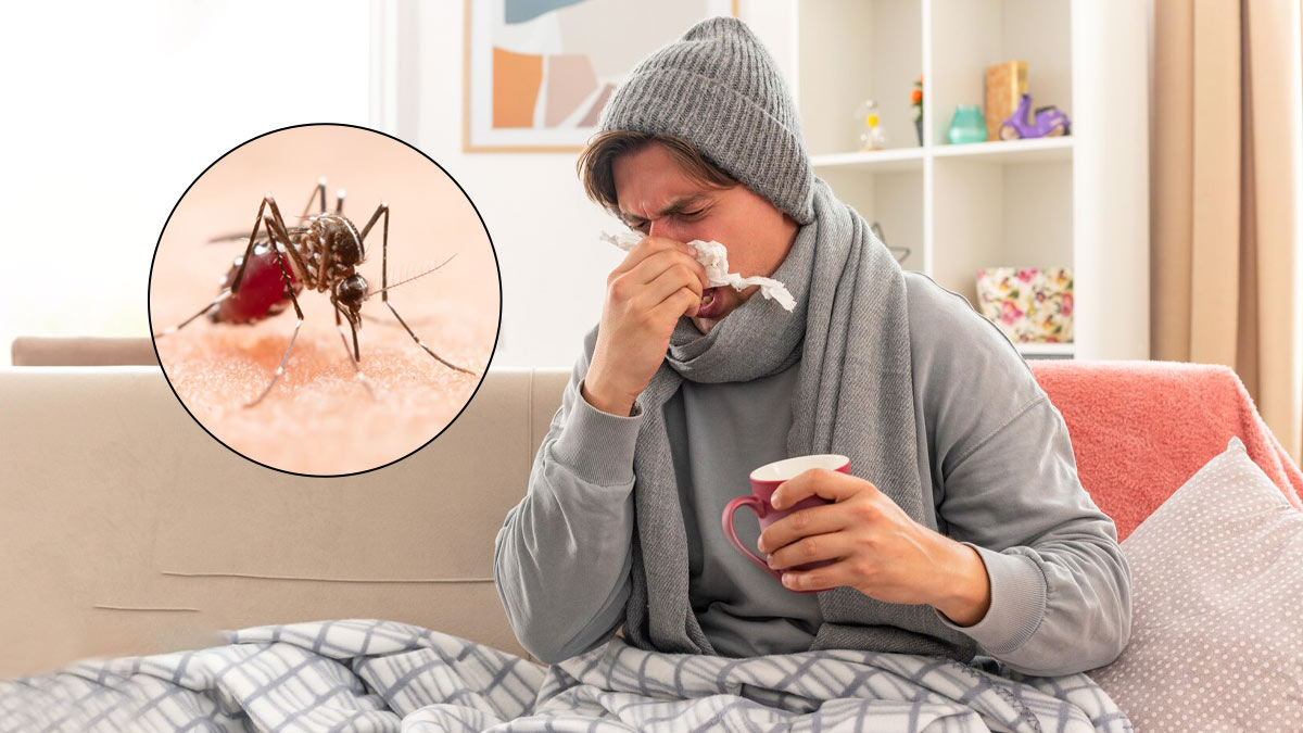 New York Confirms First Locally Acquired Case Of Chikungunya Virus In 6 Years - Report
