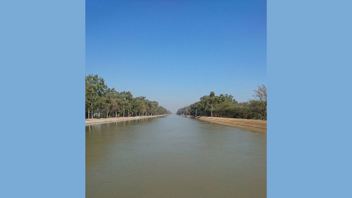 A Major Achievement of the Mann Government – Canal Water Reaches Almost Every Field; 84% of Irrigation Now From Canal Sources