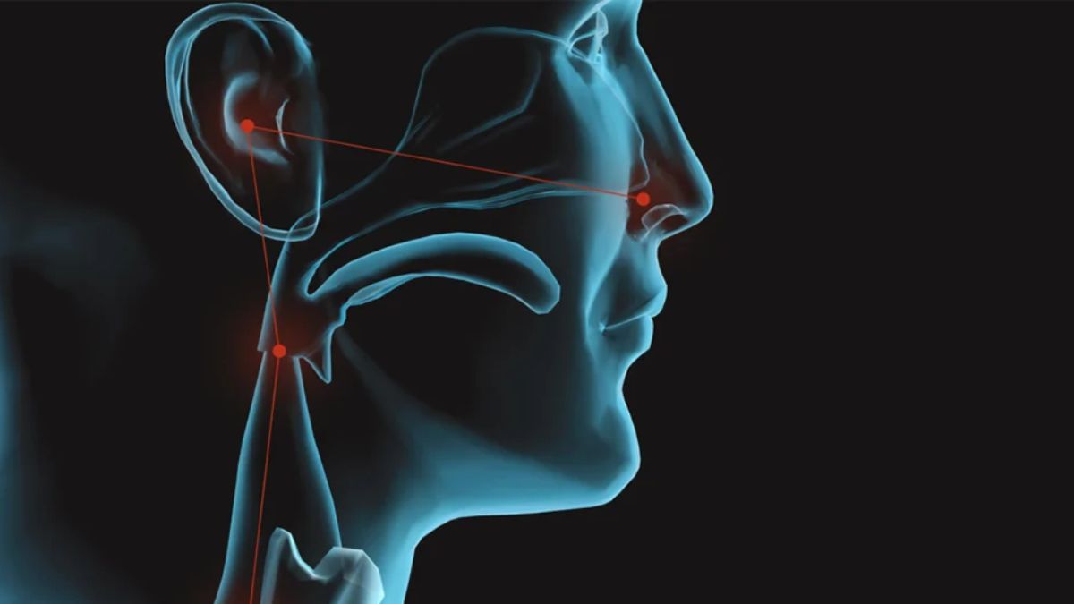 What Is an ENT Disorder? Common Problems in Kids and Why Early Checkups Matter