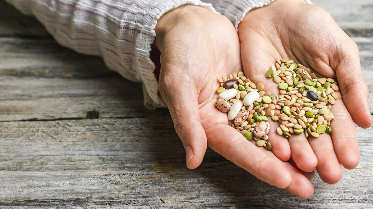 What Is Seed Cycling? Expert Shares How It Can Help Balance Hormones