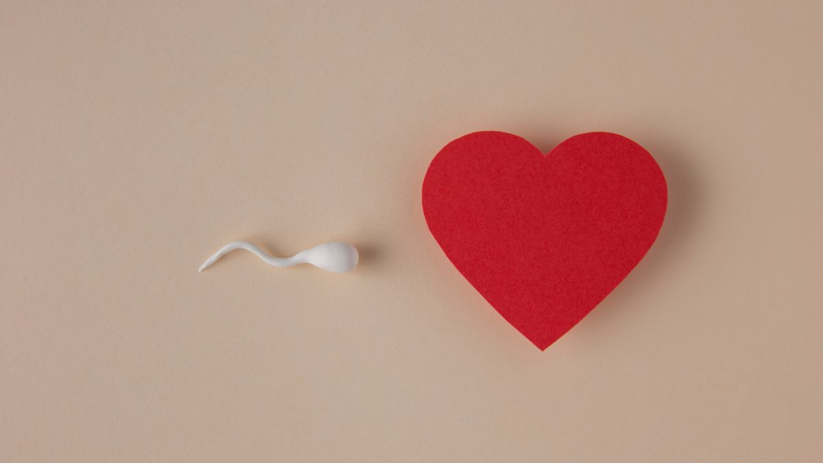 The Heart-Fertility Link: How Cardiovascular Health Impacts Reproductive Potential