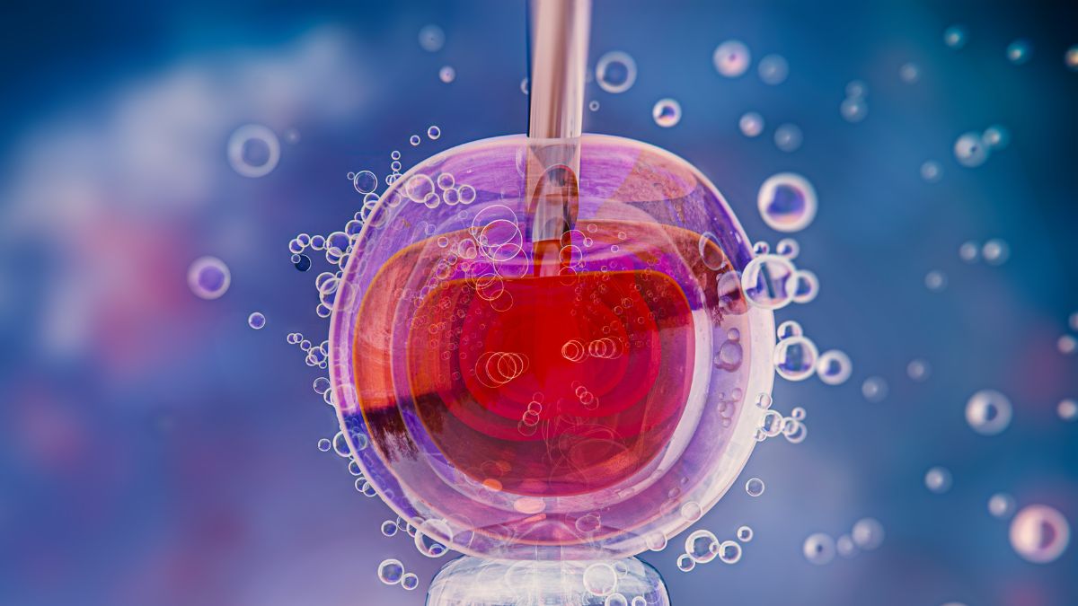 Egg Freezing: 7 things You Need To Know About About Egg Freezing From A Specialist