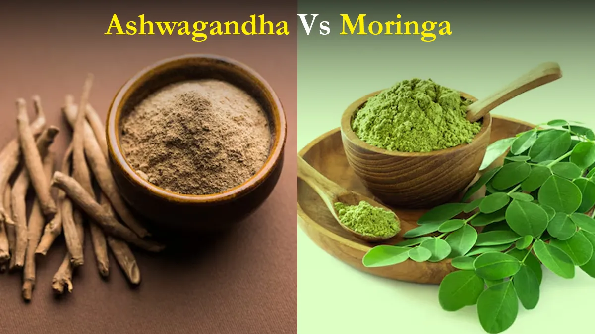 Moringa Vs Ashwagandha: Which Superfood Is Better for Stress and Immunity